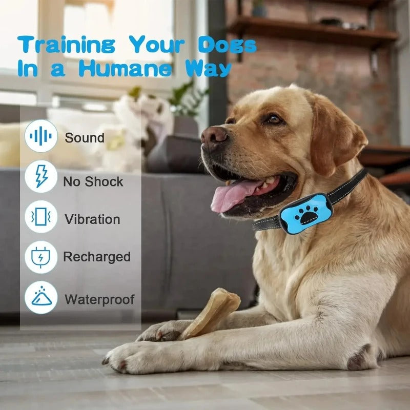 Dog Training Collars Best Bark Collar 2019 Dog Training Collars Pet Collar Best Anti Bark Collar For Small Dogs Pet Dog Anti Barking Dog Training Collars Best Bark Collar 2019 Dog Training Collars Pet Collar Best Anti Bark Collar For Small Dogs Pet Dog Anti Barking