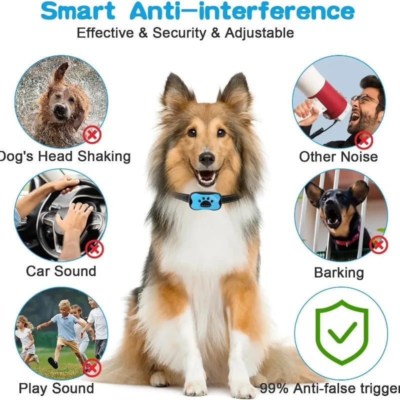 Pet Dog Anti Barking Device USB Rechargeable Dogs Training